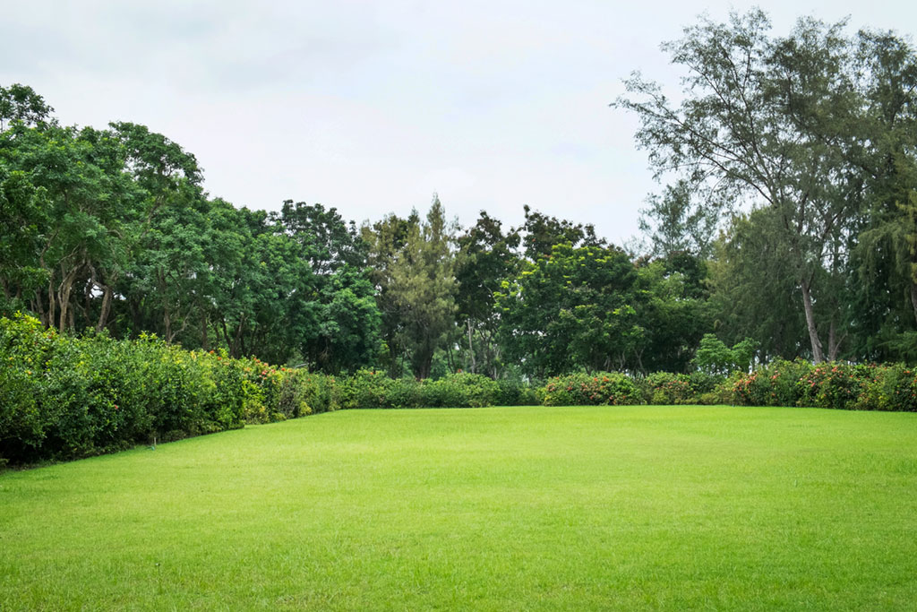 Garden perspective