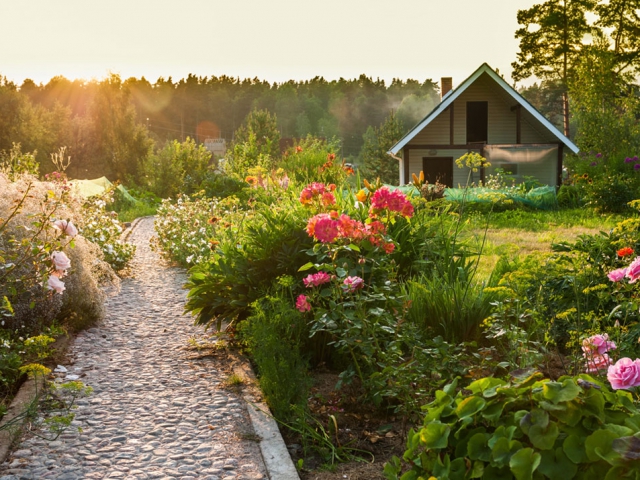 Garden with path