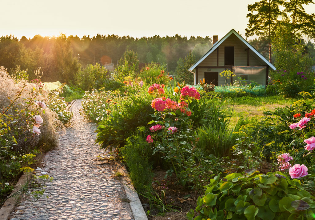 Garden with path